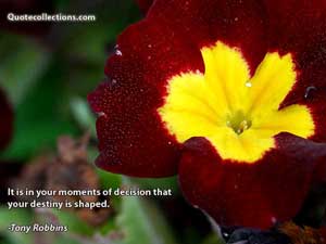 tony_robbins_quotes Quotes 2